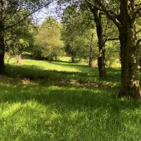 pitch-and-hike-betws-y-coed-prw5x