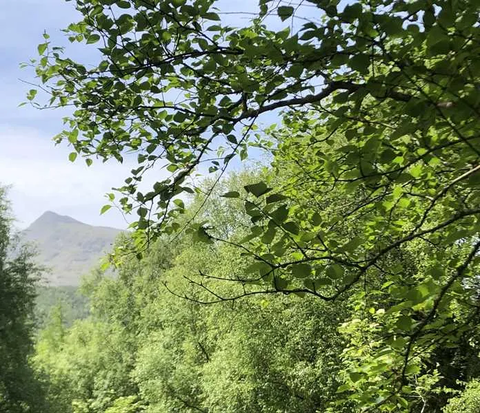pitch-and-hike-betws-y-coed-ybt1f