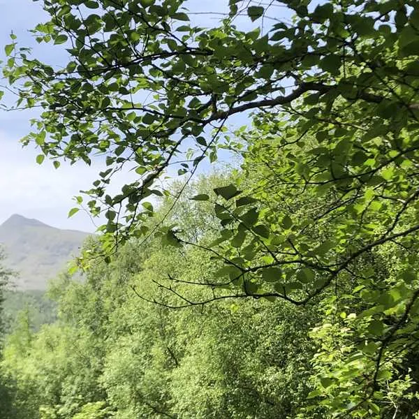 pitch-and-hike-betws-y-coed-ybt1f