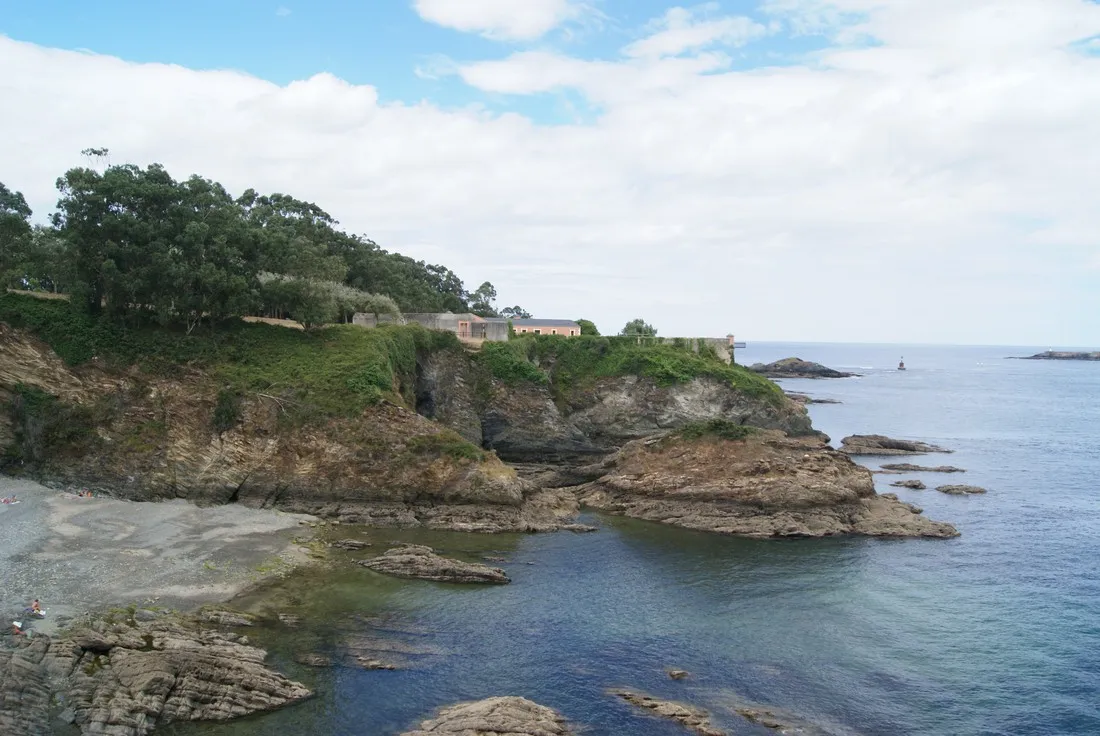 gaivota-san-cosme-barreirros-482dd