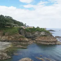 gaivota-san-cosme-barreirros-482dd