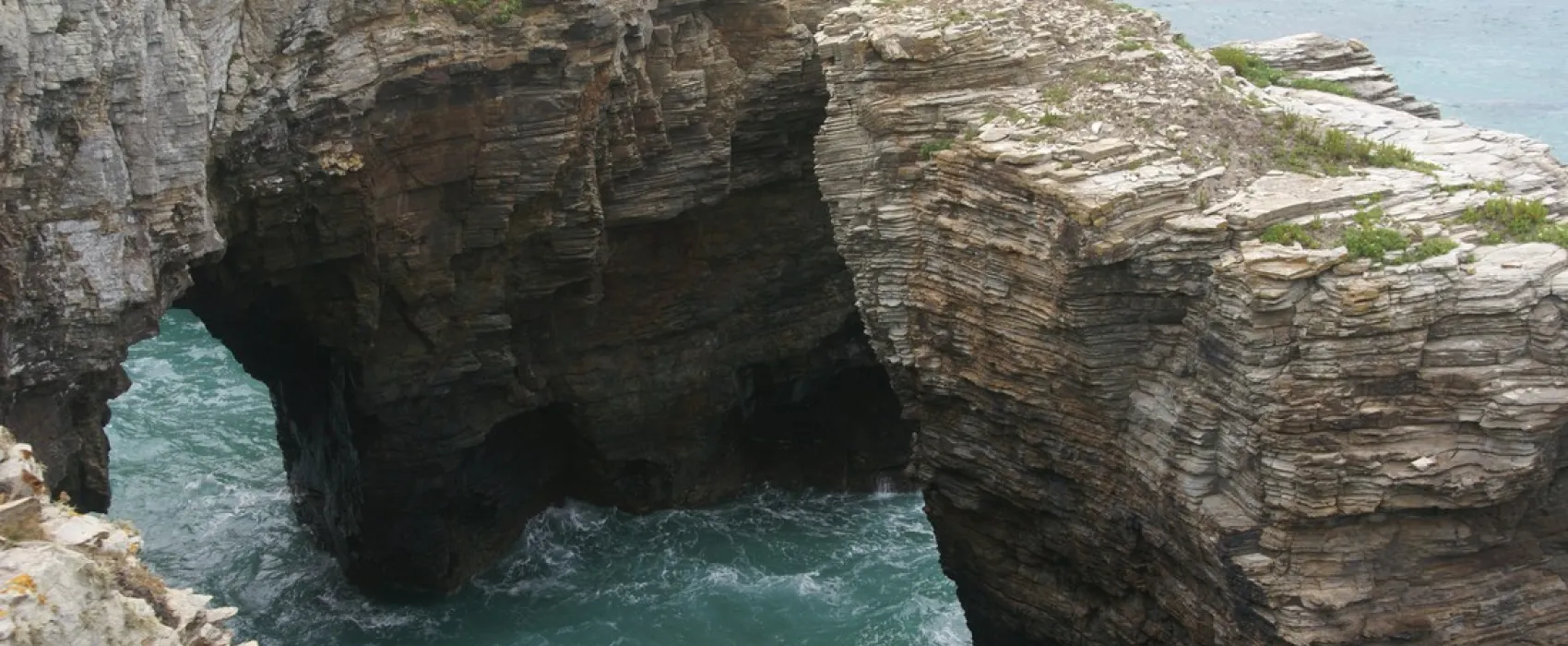 Gaivota