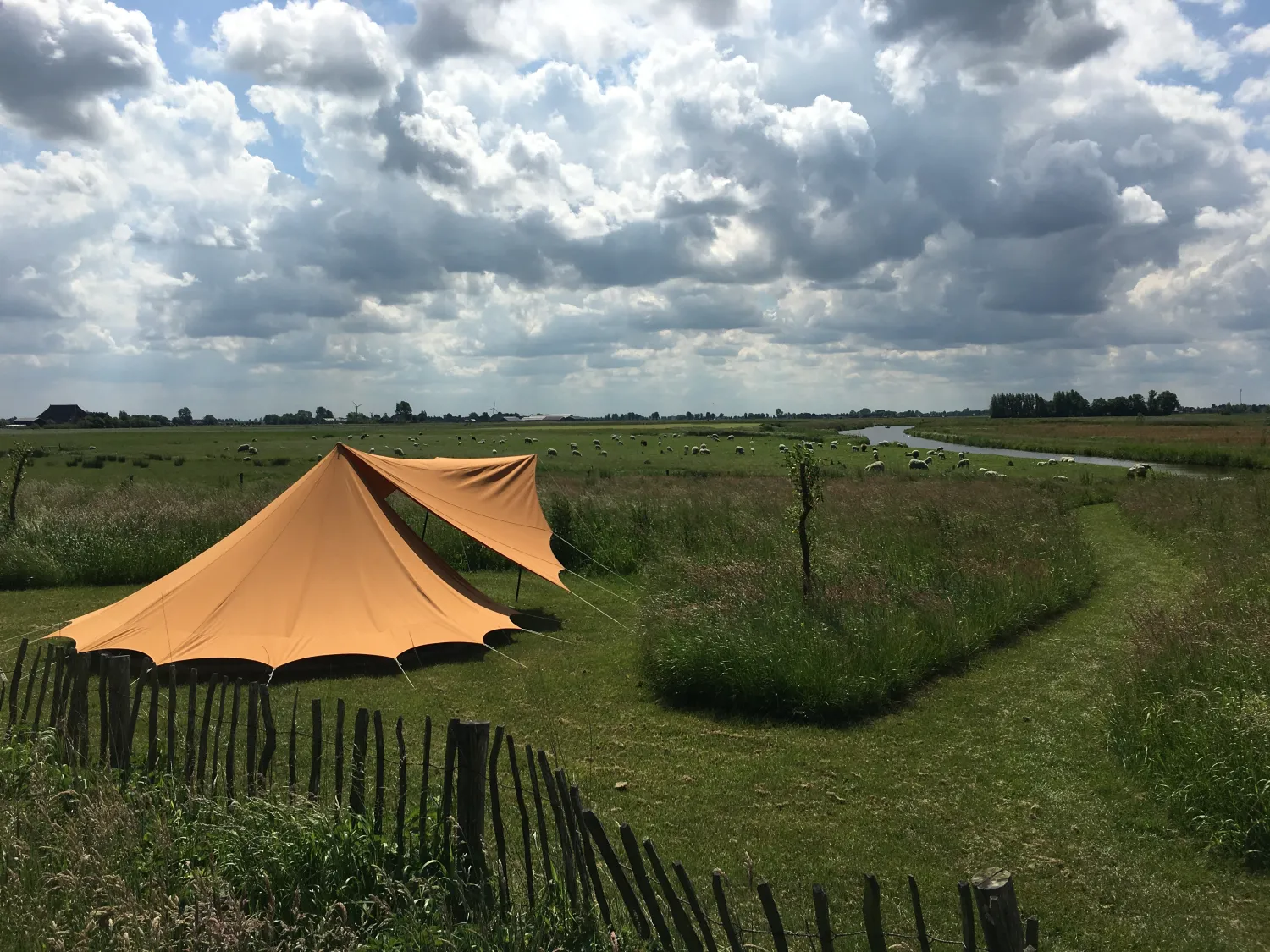 1. Minicamping Friesland Tent in het veld