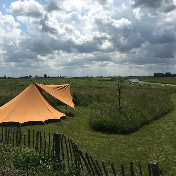1. Minicamping Friesland Tent in het veld
