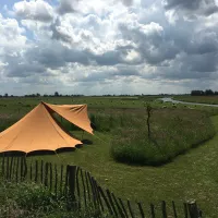 1. Minicamping Friesland Tent in het veld