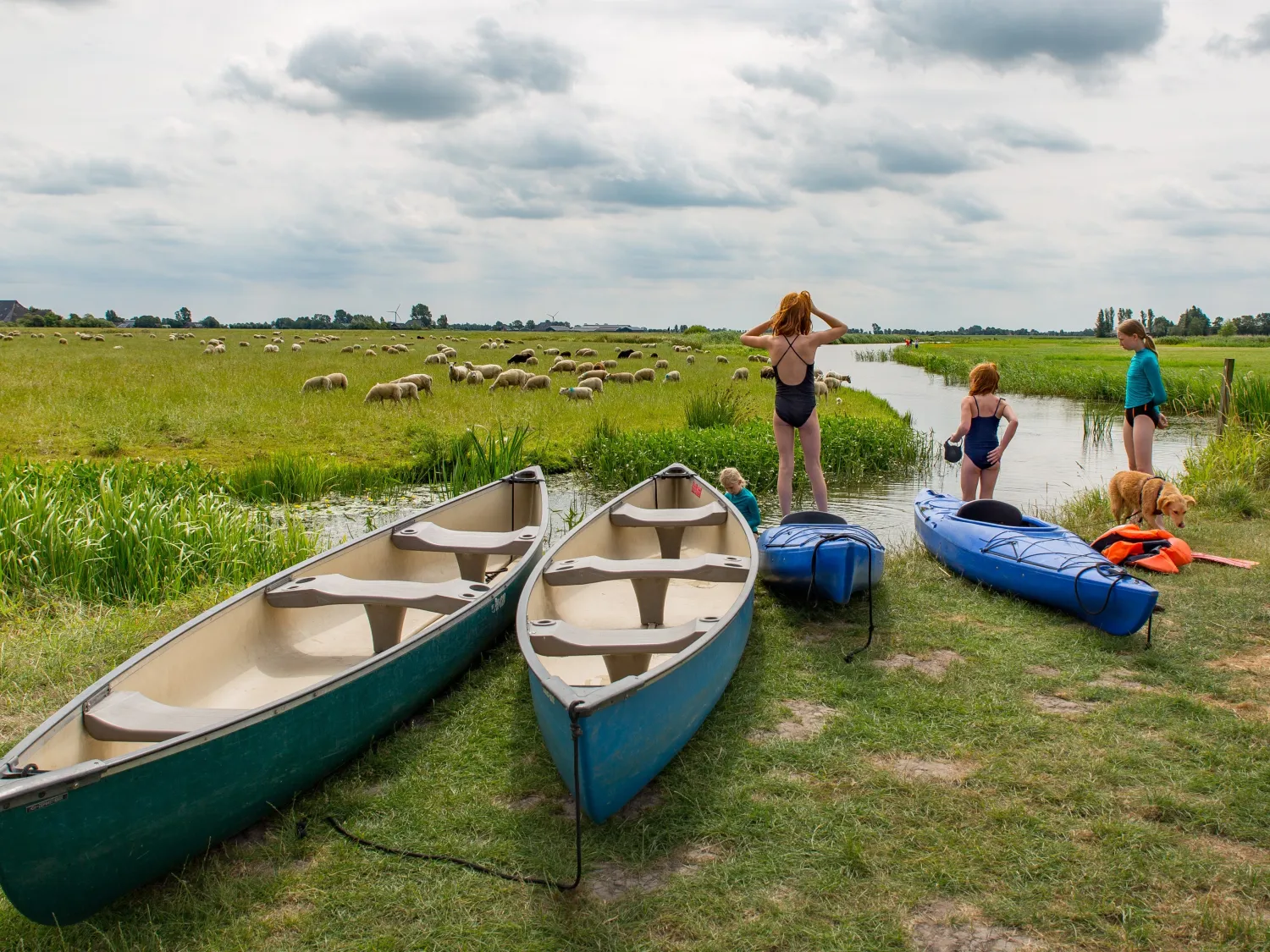 8. Camping it Dreamlân Friesland kano's en kayaks
