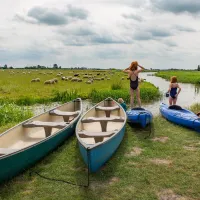 8. Camping it Dreamlân Friesland kano's en kayaks
