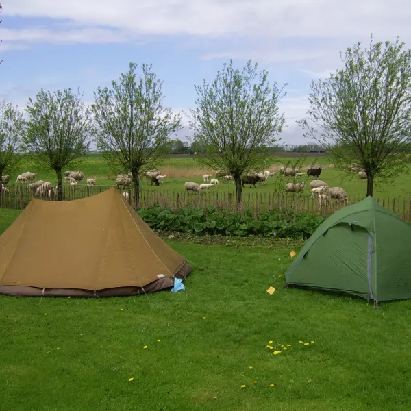 4. Tentjes tussen de bomen minicamping Friesland