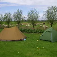4. Tentjes tussen de bomen minicamping Friesland