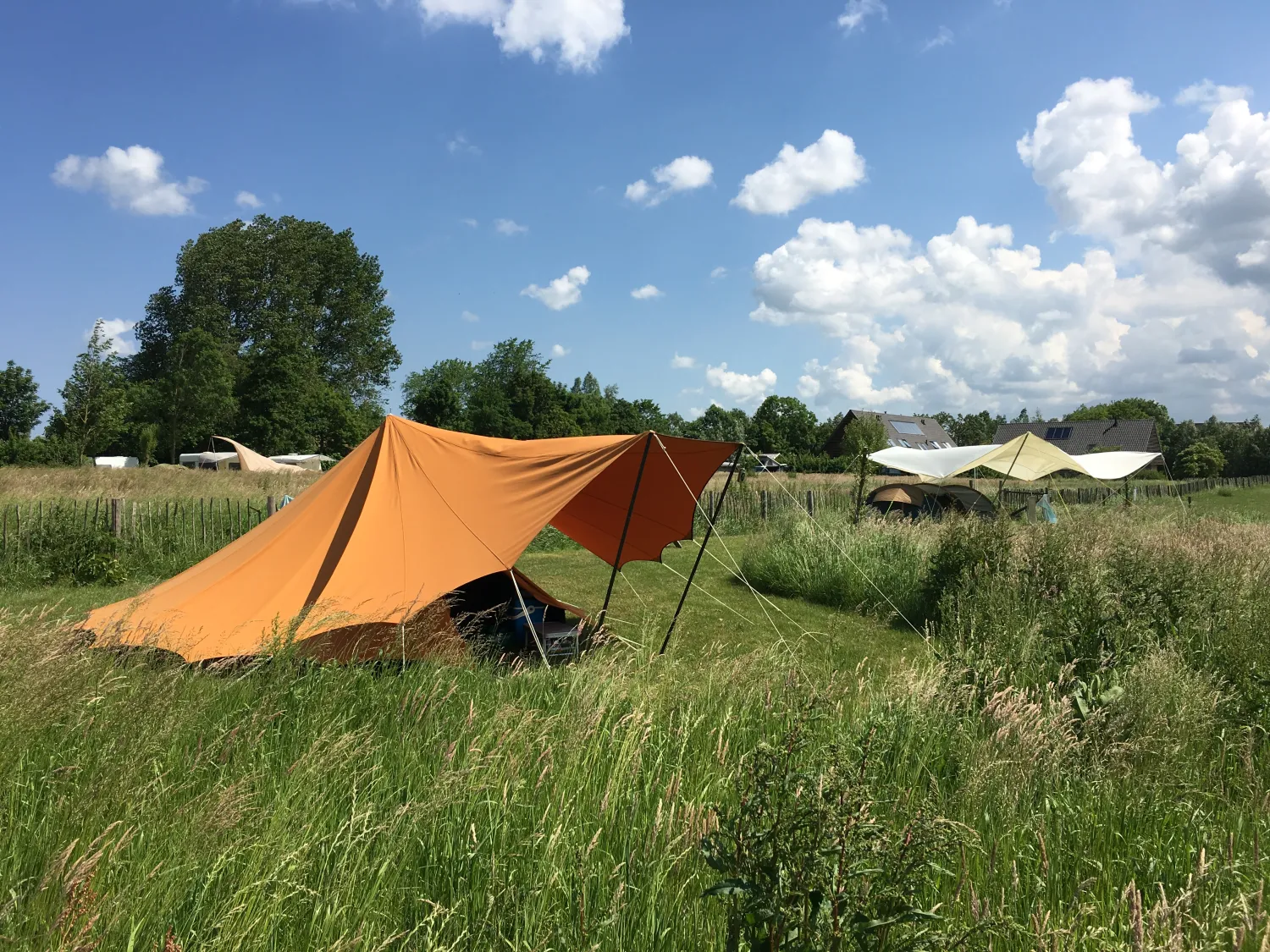 6. Tenten in het veld Friesland camping