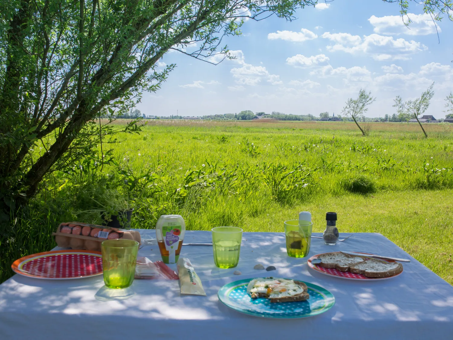 12.b Ontbijten in het veld camping Lauwersmeer Friesland