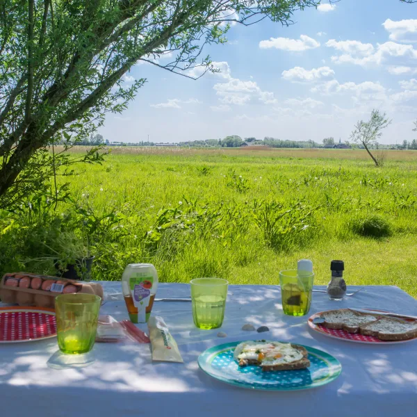 12.b Ontbijten in het veld camping Lauwersmeer Friesland