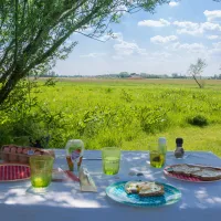 12.b Ontbijten in het veld camping Lauwersmeer Friesland