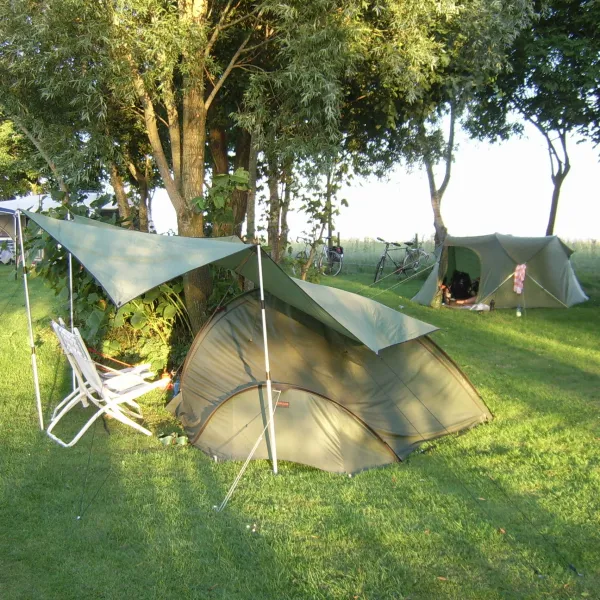19. Minicamping Friesland tentjes tussen de bomen