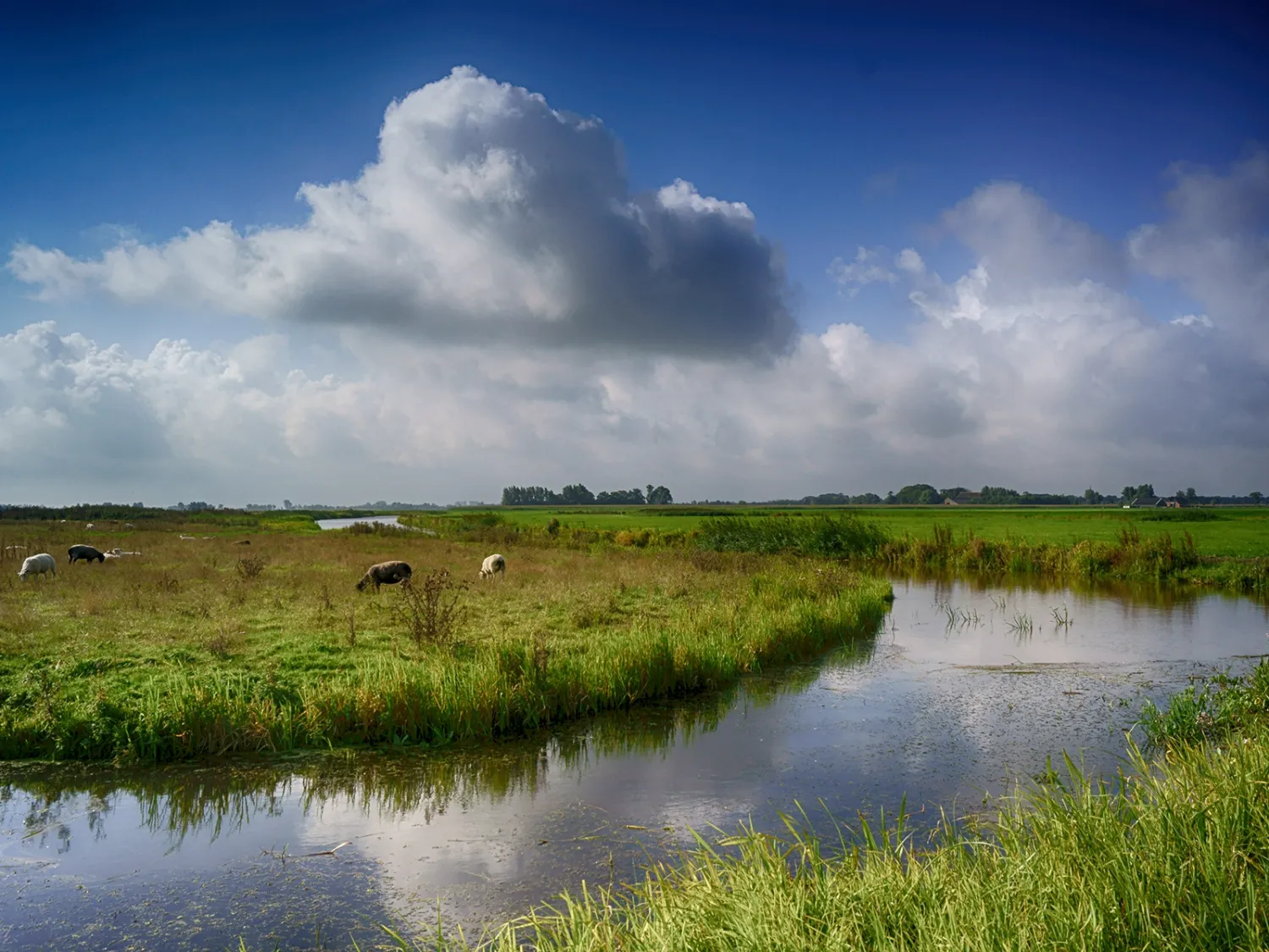9. Camping it Dreamlân Friesland uitzicht
