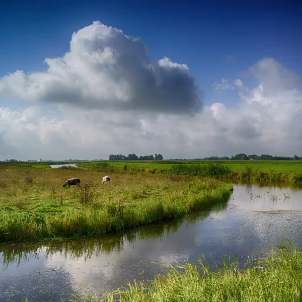 9. Camping it Dreamlân Friesland uitzicht