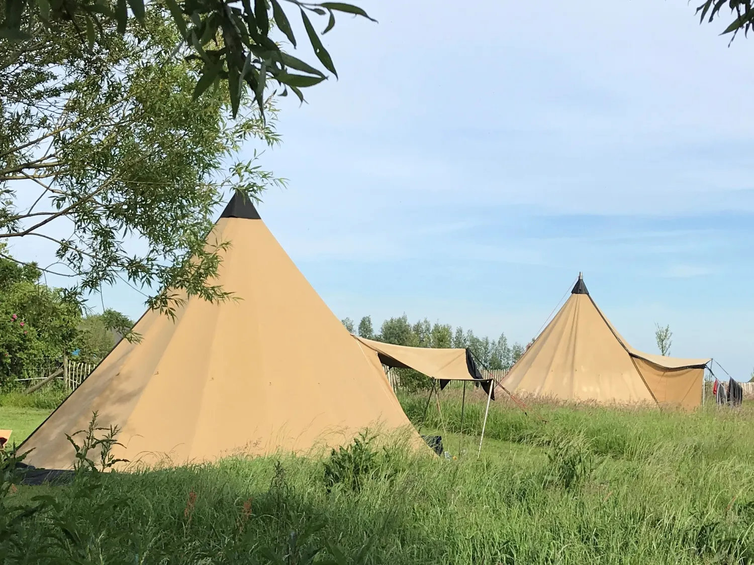 24.c Tipis in het veld camping Friesland