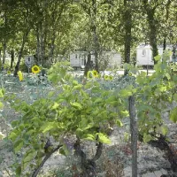 La Vallée de Gardeleau