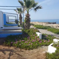 caravan-chersonissos-dkfur