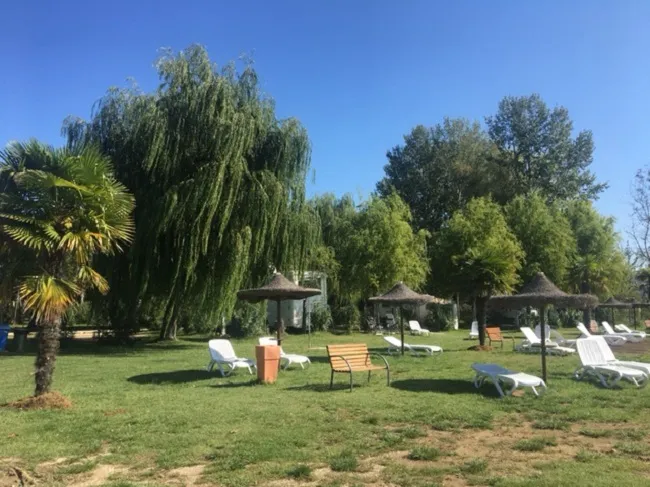 trasimeno-passignano-lago-di-trasimeno-aq5sc
