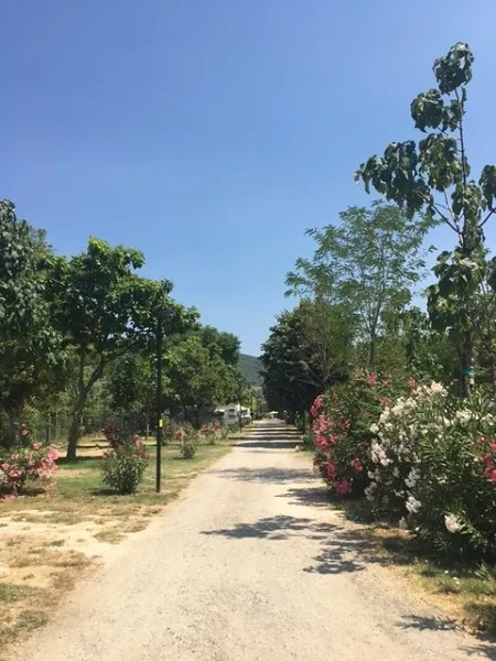 trasimeno-passignano-lago-di-trasimeno-lidkg