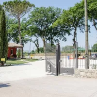 Trasimeno