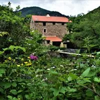 mas-de-la-fargassa-amelie-les-bains-mayku