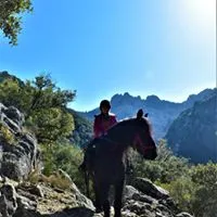 mas-de-la-fargassa-amelie-les-bains-wdmkl