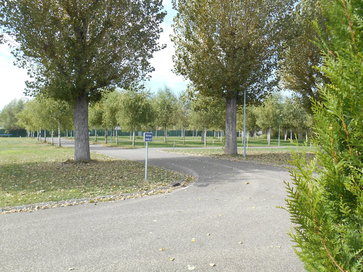 camping-prl-st-vit-57910-neufgrange-aieht