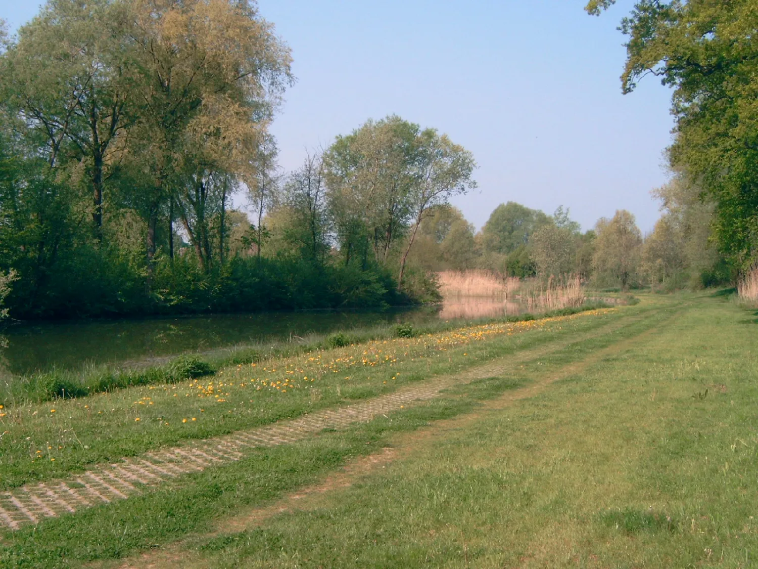 camping-prl-st-vit-57910-neufgrange-xjohk
