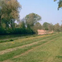 camping-prl-st-vit-57910-neufgrange-xjohk