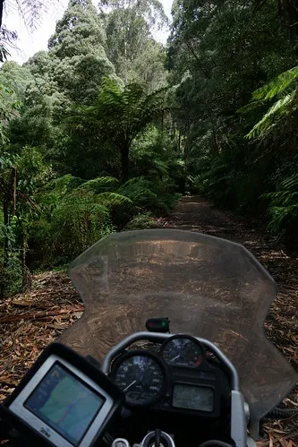 toorongo-falls-campground-noojee-6uoe7