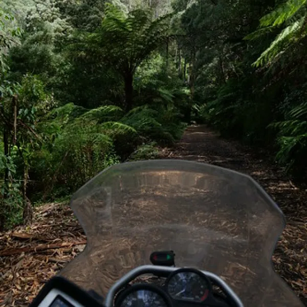 toorongo-falls-campground-noojee-6uoe7