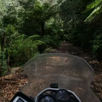toorongo-falls-campground-noojee-6uoe7