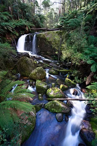 toorongo-falls-campground-noojee-i9cdz