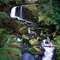 Toorongo Falls Campground