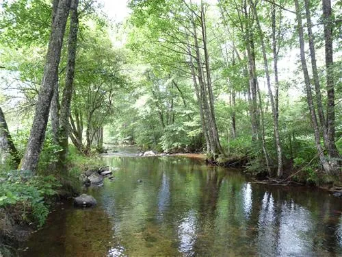 la-chauderie-la-tour-dauvergne-dfeav