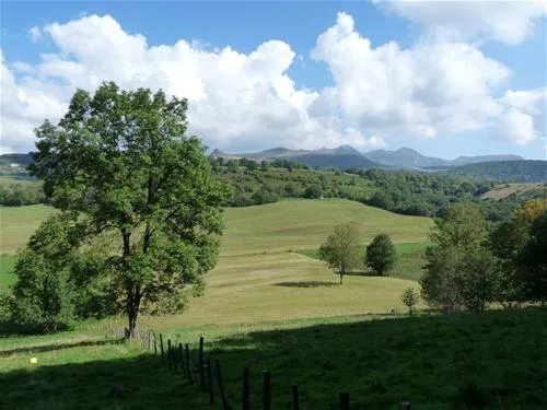 la-chauderie-la-tour-dauvergne-mw2ia
