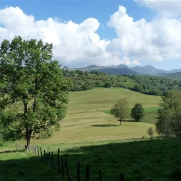 la-chauderie-la-tour-dauvergne-mw2ia