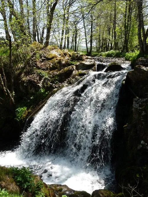 la-chauderie-la-tour-dauvergne-njxun