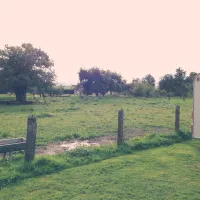 saint-nicolas-choiseul-5rnek