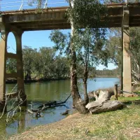 laanecoorie-river-reserve-campground-laanecoorie-xyrmu