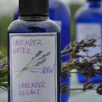 lavender-village-kiemeliai-village-0ko3k