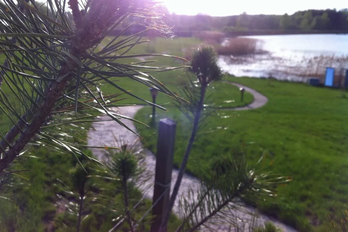 lavender-village-kiemeliai-village-1msc3