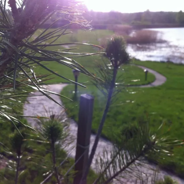 lavender-village-kiemeliai-village-1msc3