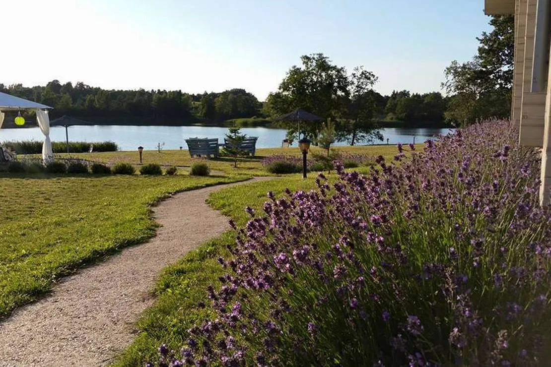 lavender-village-kiemeliai-village-fclvc