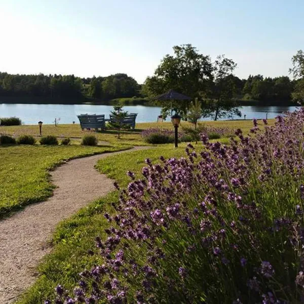 lavender-village-kiemeliai-village-fclvc