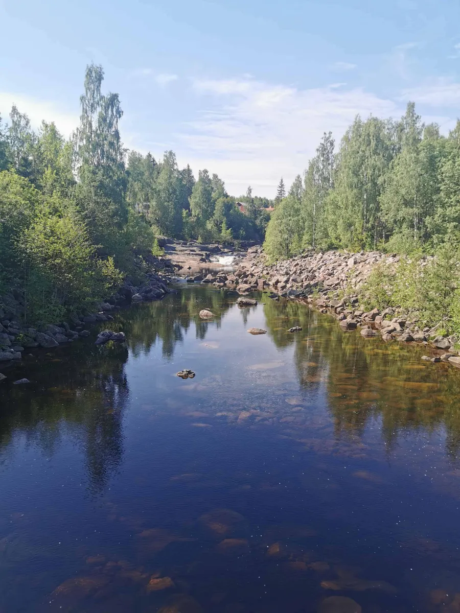 alfta-camping-alfta-fnlel