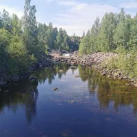 alfta-camping-alfta-fnlel