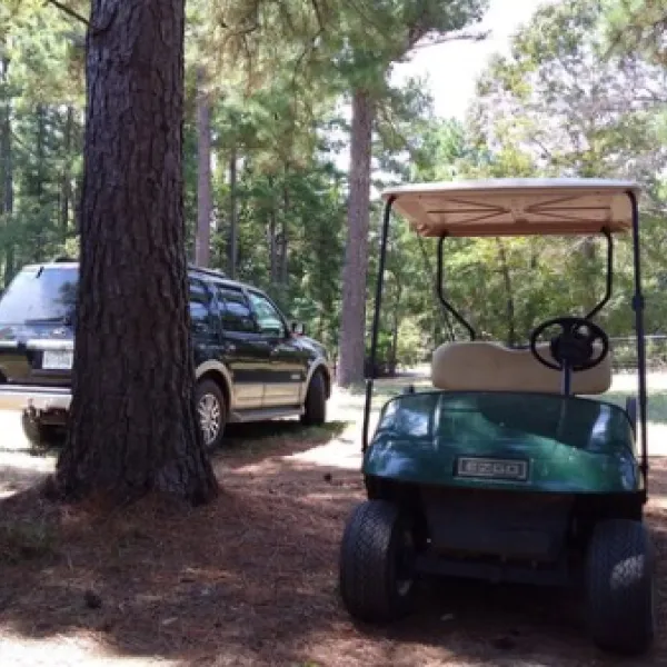 diamond-d-rv-park-mineola-uofuu